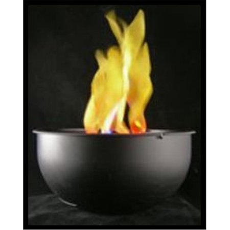 FORTUNE PRODUCTS Fortune Products FLM-200 10 in. Flame Light Table Top or Hanging  Battery Operated FLM-200